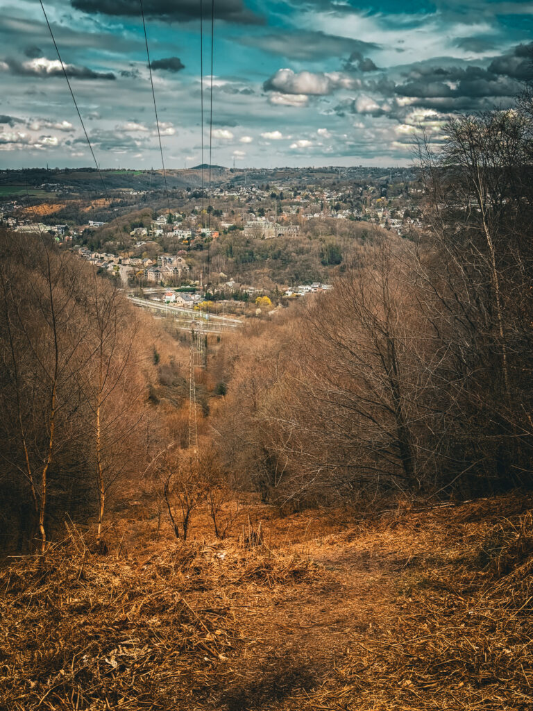 Trail à Liège au Sart Tilman 