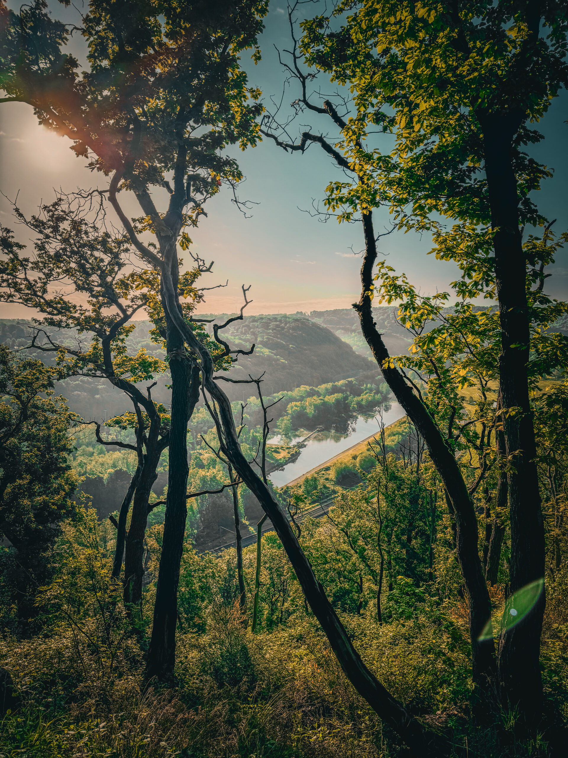 Trail au Sart Tilman : meilleur terrain trail de Liège