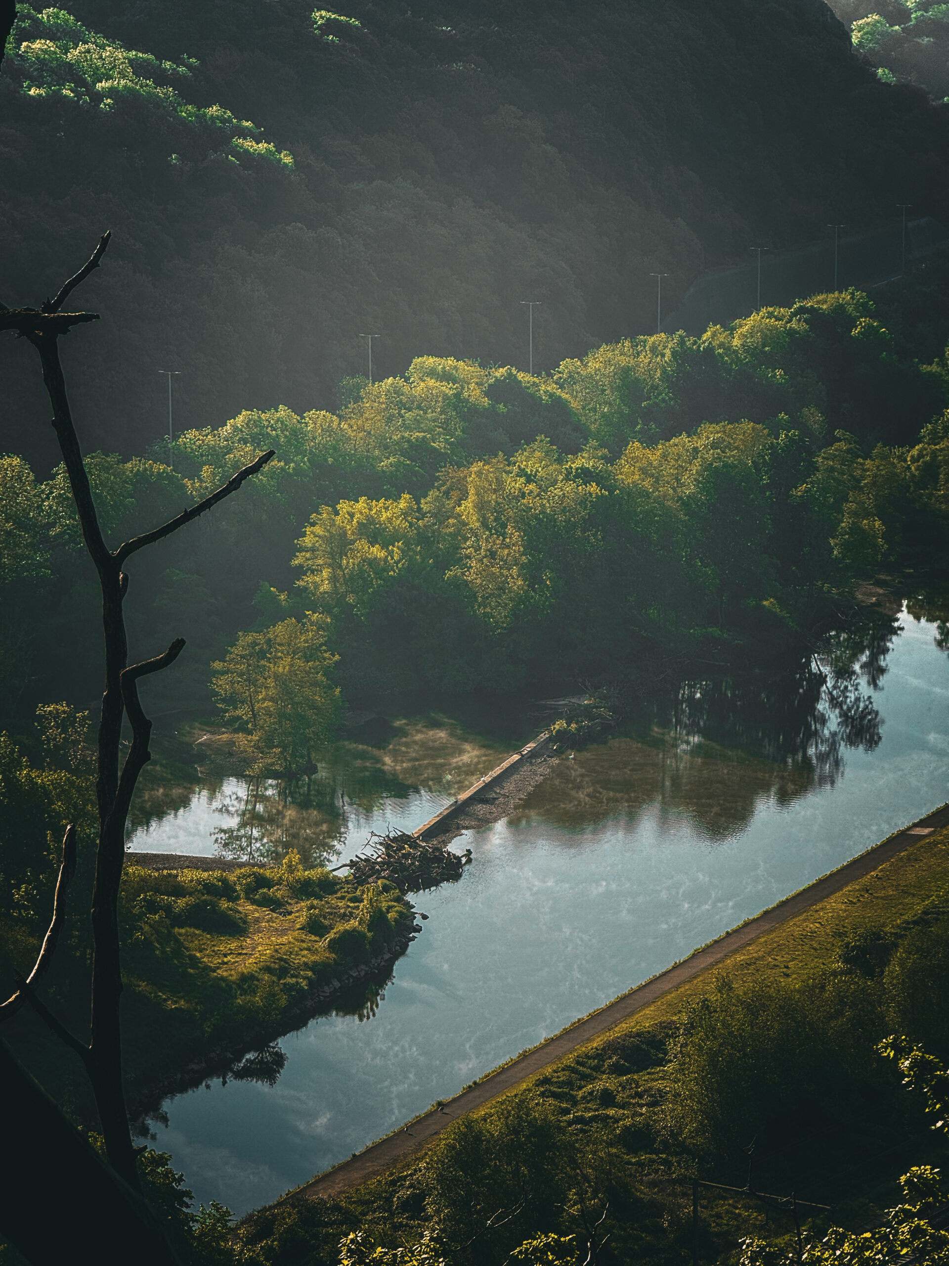 Vue depuis la côte des 3 sapins au Sart Tilman
