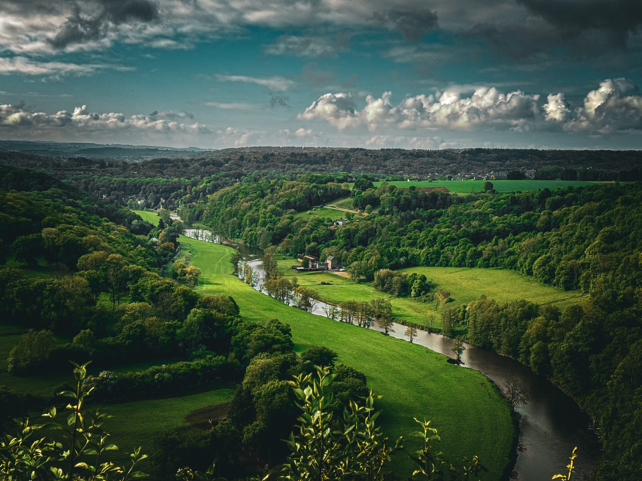 Vue depuis la Roche aux faucons