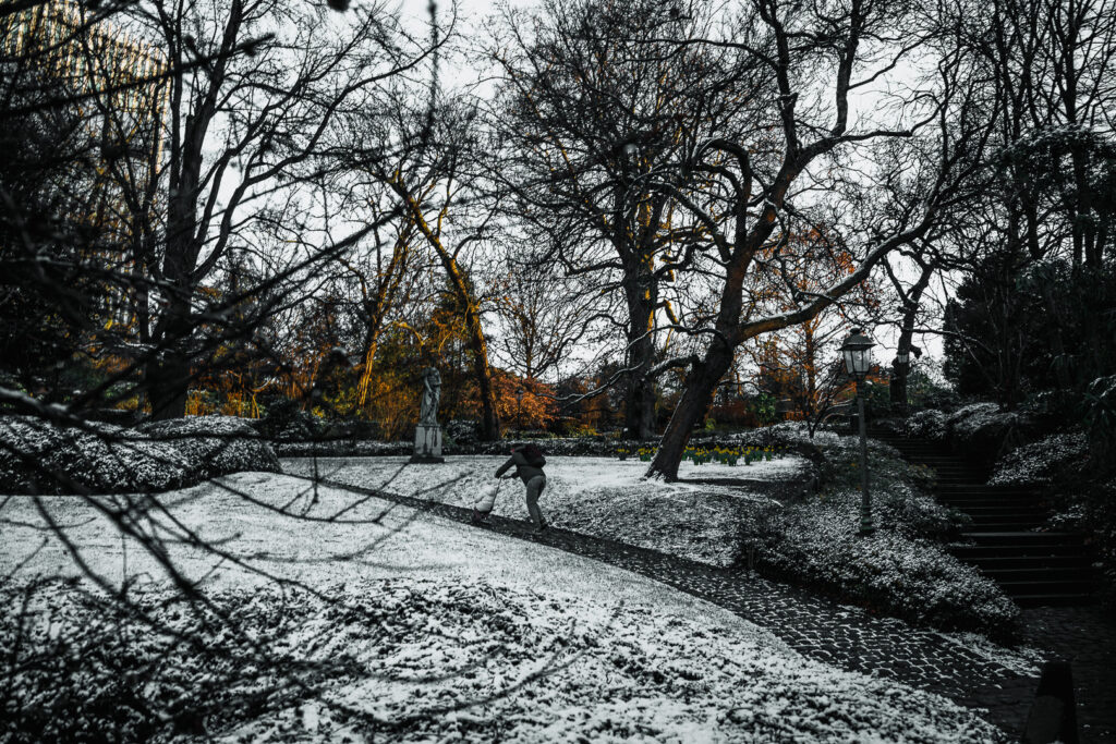 jardin botanique enneigé Bruxelles 