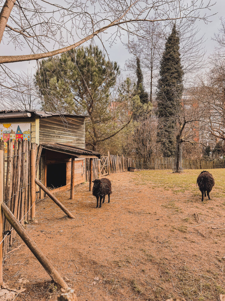 que faire à Bruxelles 