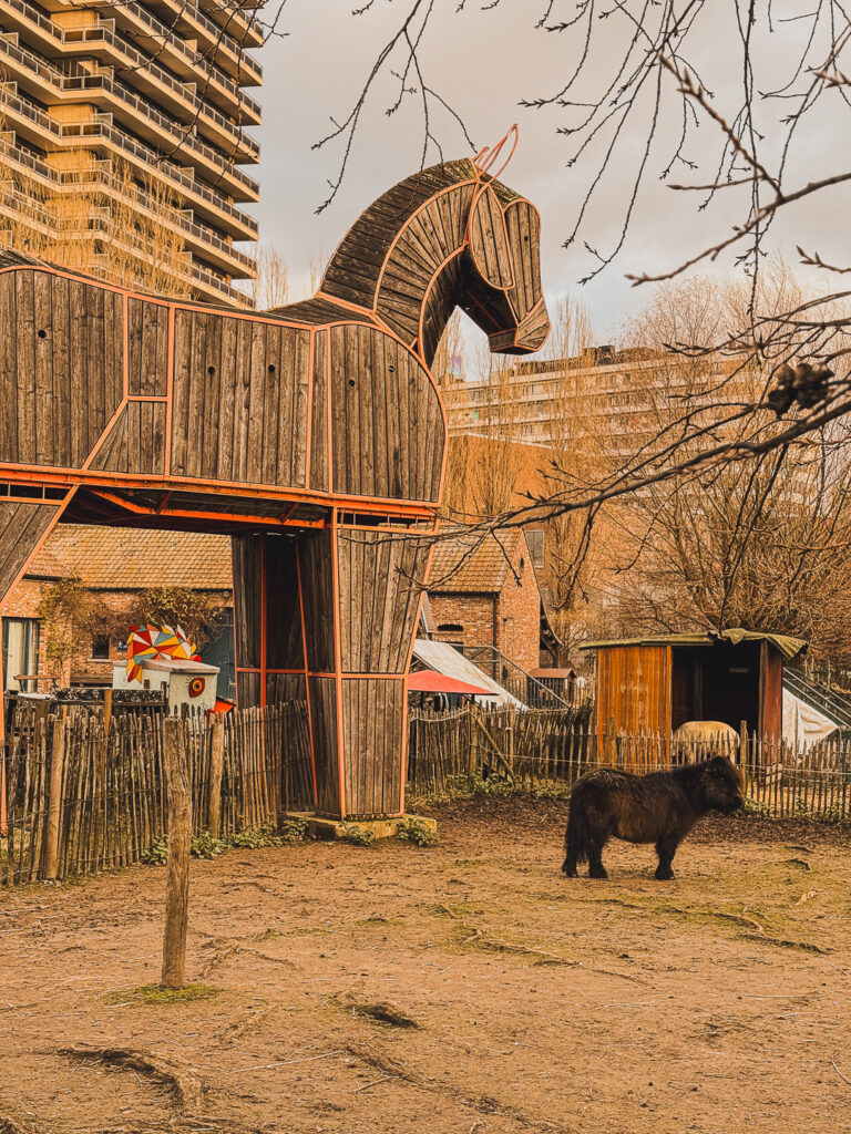 activité insolite Bruxelles 