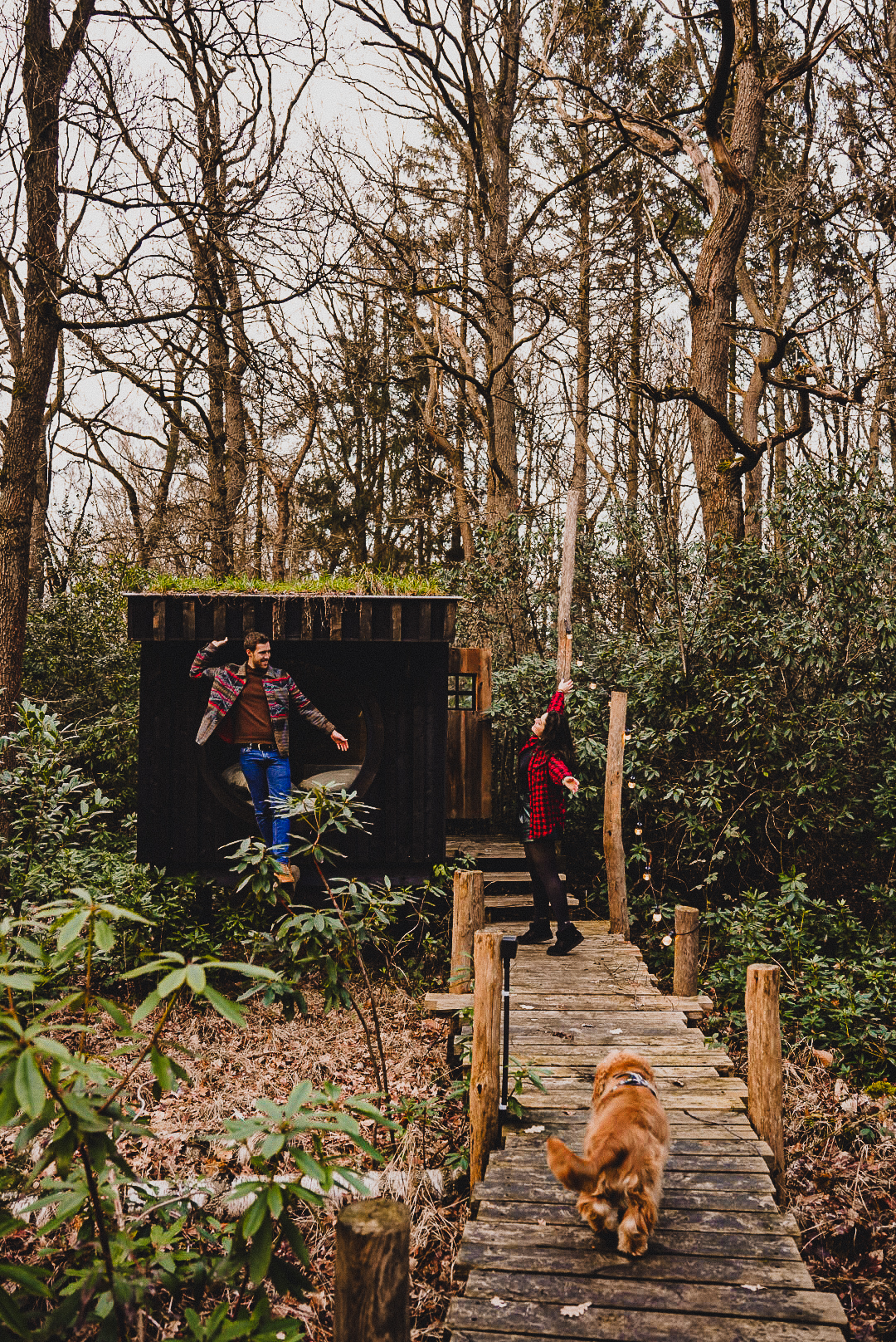 tiny house en Belgique