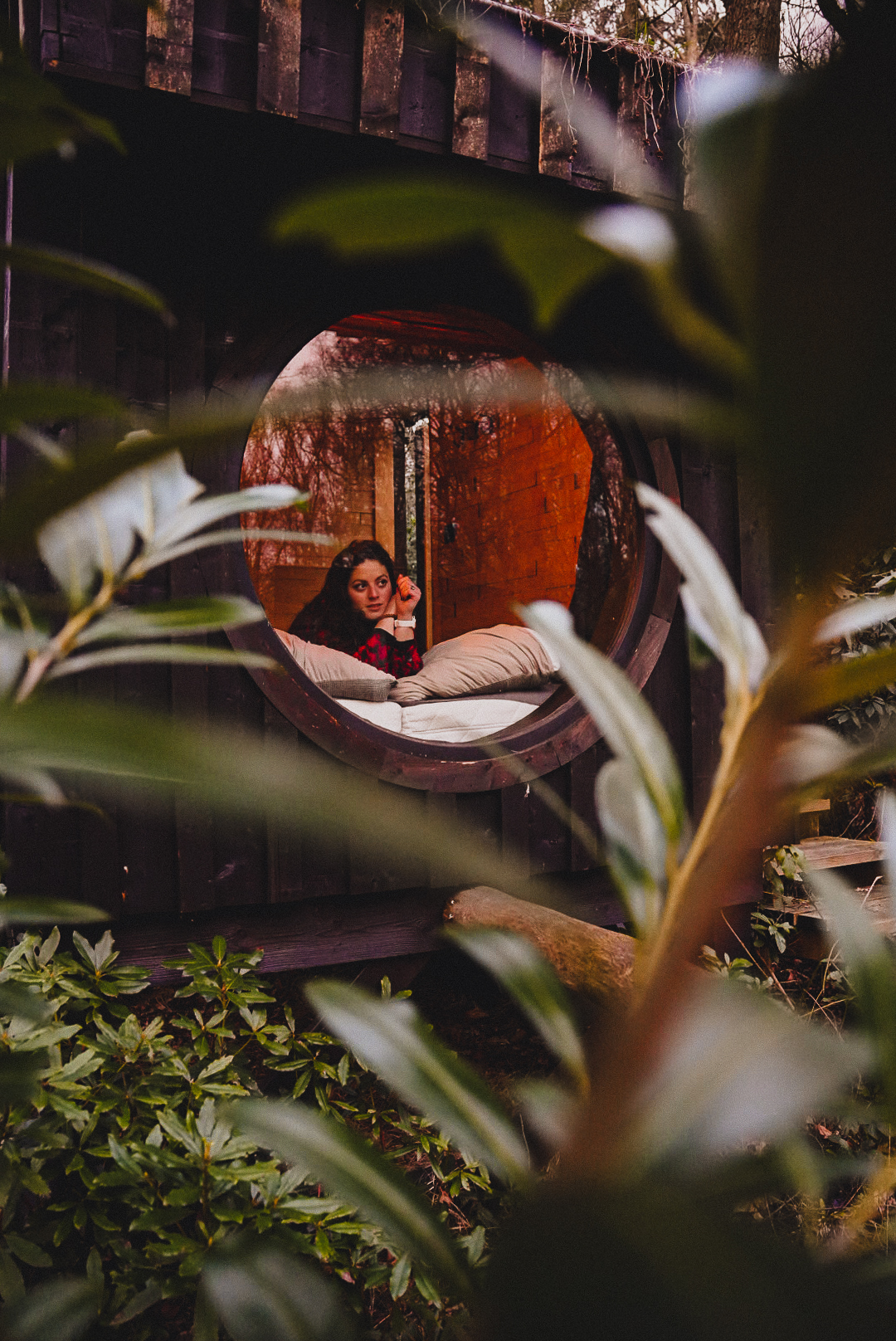 logement insolite chien admis