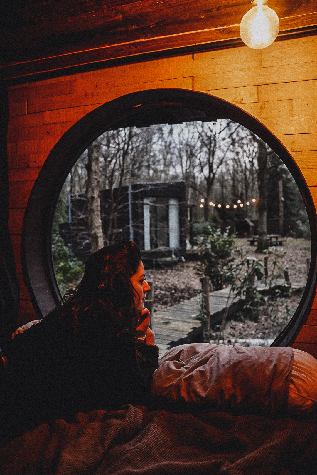 logement insolite chien admis belgique 