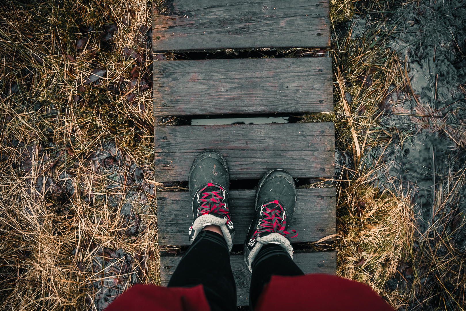 passerelles en bois Hautes Fagnes