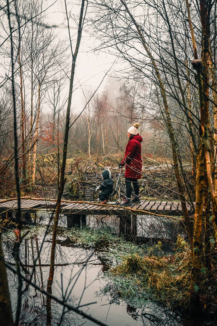 Brackvenn Hautes Fagnes