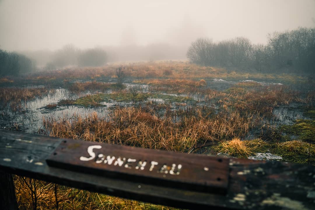 passerelles en bois Hautes Fagnes