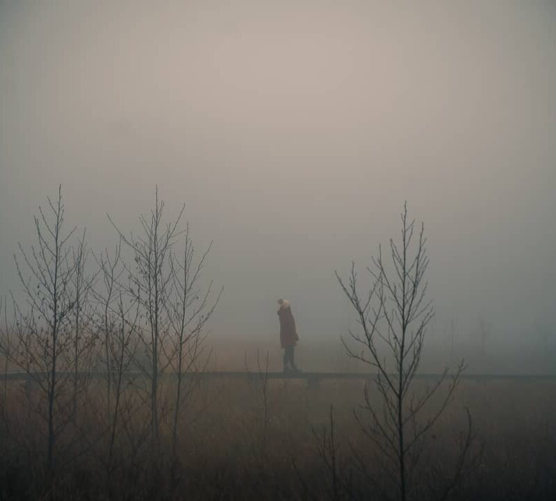 Brackvenn Hautes Fagnes balade