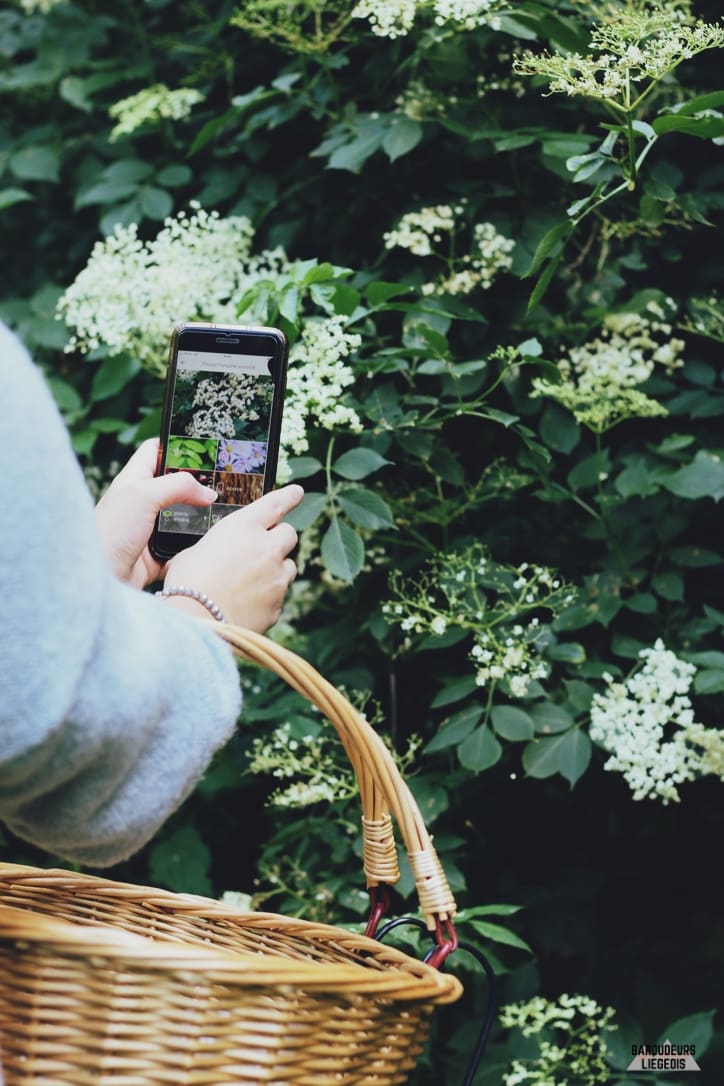 randonnée printemps province de liège