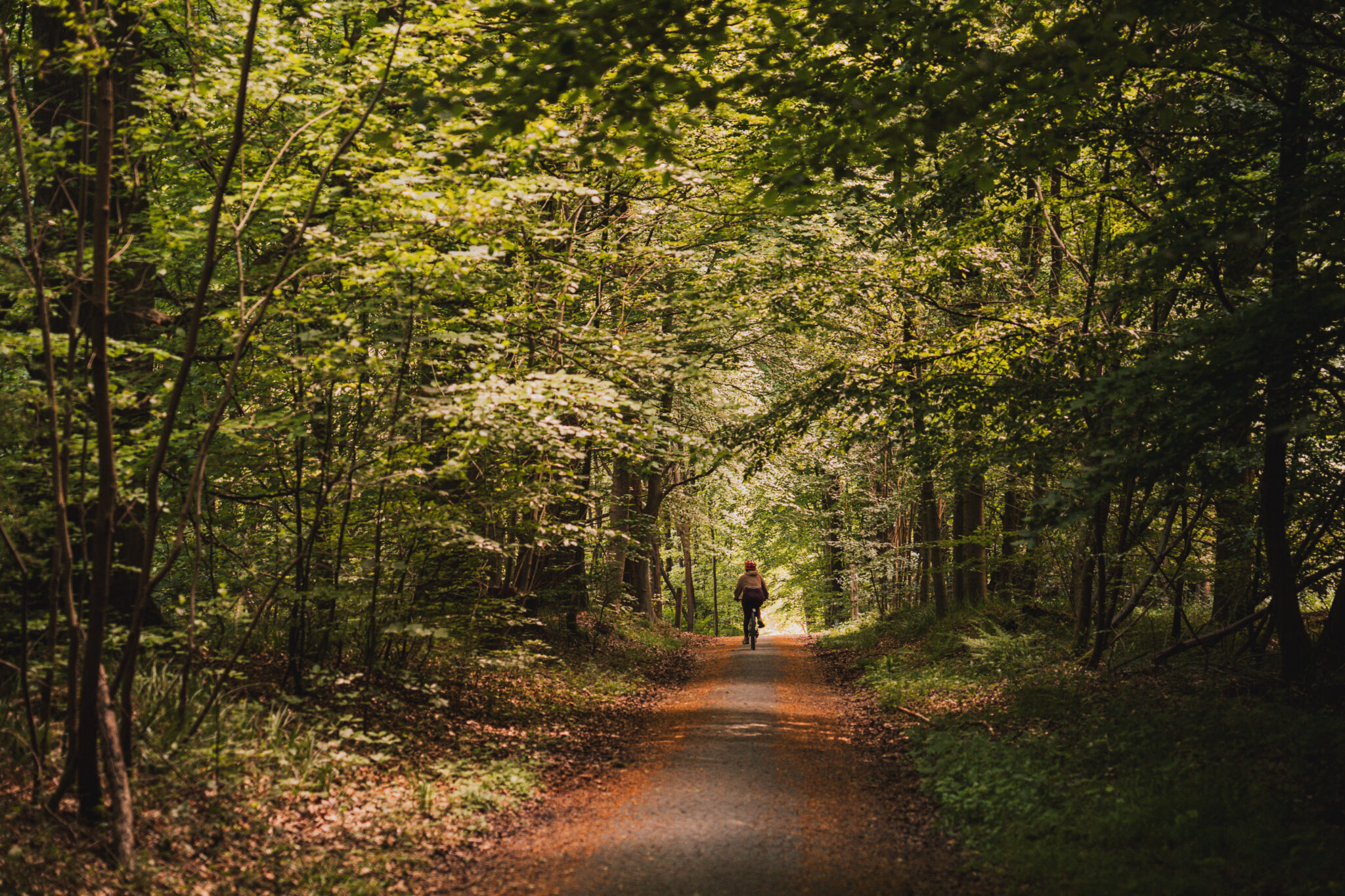 domaine de Solvay Bruxelles balade