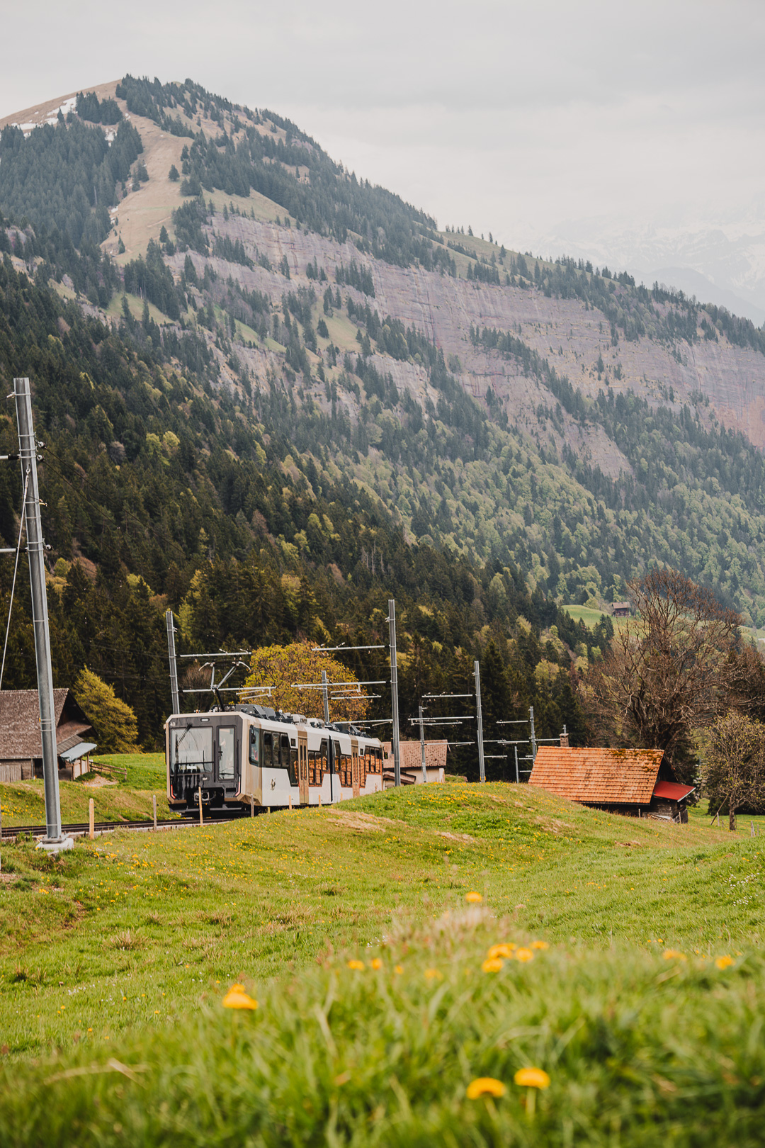 train à crémaillère du Rigi depuis Vitznau